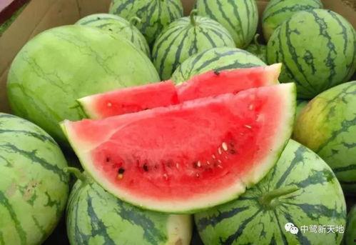 今日吃瓜网,揭秘娱乐圈最新热点事件，带你领略明星幕后故事